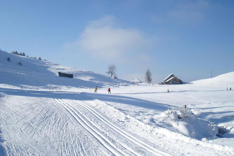 Chalet Murmeli Eigenthal Zewnętrze zdjęcie