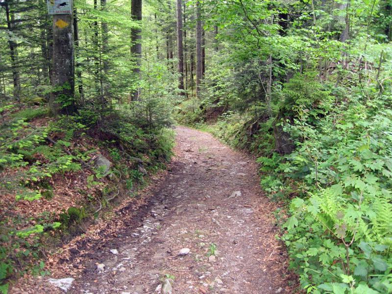 Chalet Murmeli Eigenthal Zewnętrze zdjęcie